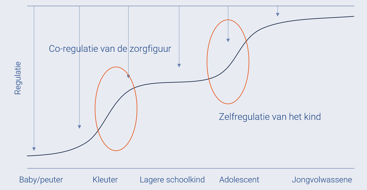 <p>Gradueel proces</p><ul><li><p>hoe jonger kind, hoe meer emoties gereguleerd worden door iemand anders</p></li><li><p>hoe ouder, hoe zelfstandiger — hangt samen met hersenontwikkeling</p></li></ul><p>Terrible two</p><ul><li><p>baby/peuter: kan nog niets</p></li><li><p>adolescentie: puberteit, emotioneel brein ontwikkelt sneller dan PFC</p></li></ul><p>Tegen jongvolwassenheid in <em>meeste </em>situaties emoties zelf kunnen reguleren, zo niet, richting psychopathologie</p>