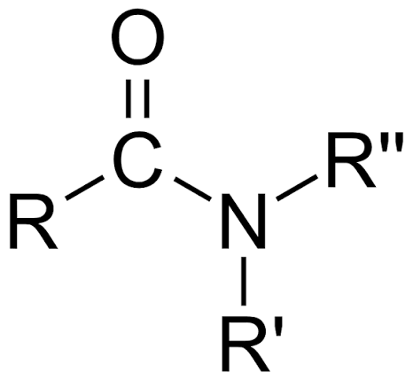 <p>a carbonyl group attached to a nitrogen atom</p>