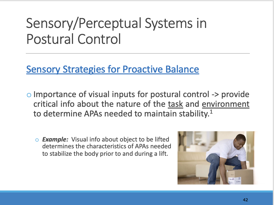<p>______</p><p><span>You see a large box you guess its heavy so sometimes you put more effort then you need to but hopefully you are close to what it is</span></p>