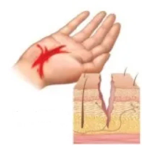 knowt flashcard image