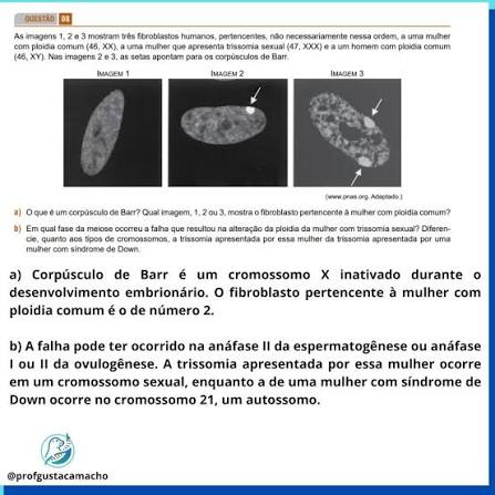 <p>É a compensação de dose, consiste na inativação aleatória de um cromossomo X nas mulheres, que gera o corpúsculo de Barr( condensação do cromossomo X, um deles fica inativado, pode ser o do pai ou o da mãe, aleatoriamente)</p>