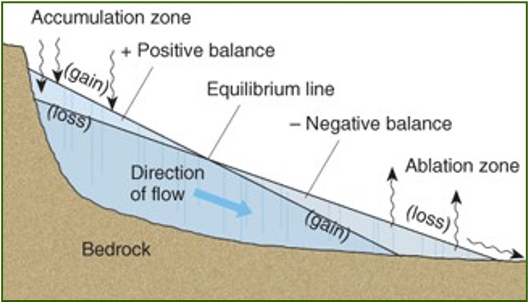 <p>Equillibrium line separates the accumulation and ablation zones on a glacier. Glaciers are always on a slope.</p><p>if Gain = Loss the glacier is in equillibrium (ice is still flowing forward but the endpoint doesn’t move)</p><p>gain < loss = retreat (shrink) </p><p>gain > loss = advance (enlarge) </p>