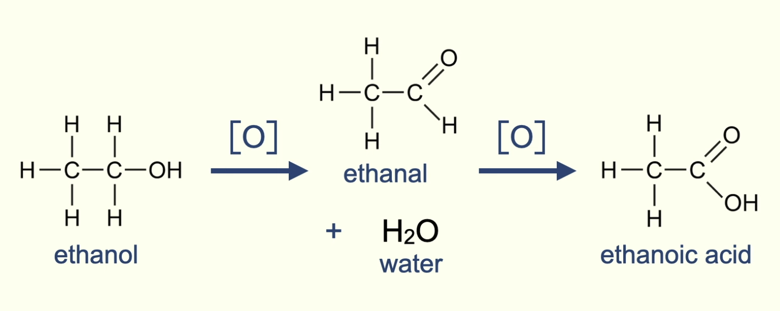 <p>Alcohol ——[O] —→ Aldehyde ——-[O]——> Carboxylic acid</p>