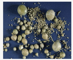 <p>Which type of canine calculi is seen in this image that is common in Dalmatians?</p>