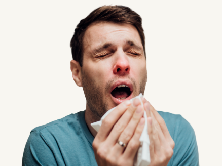 <p>tissue</p>
