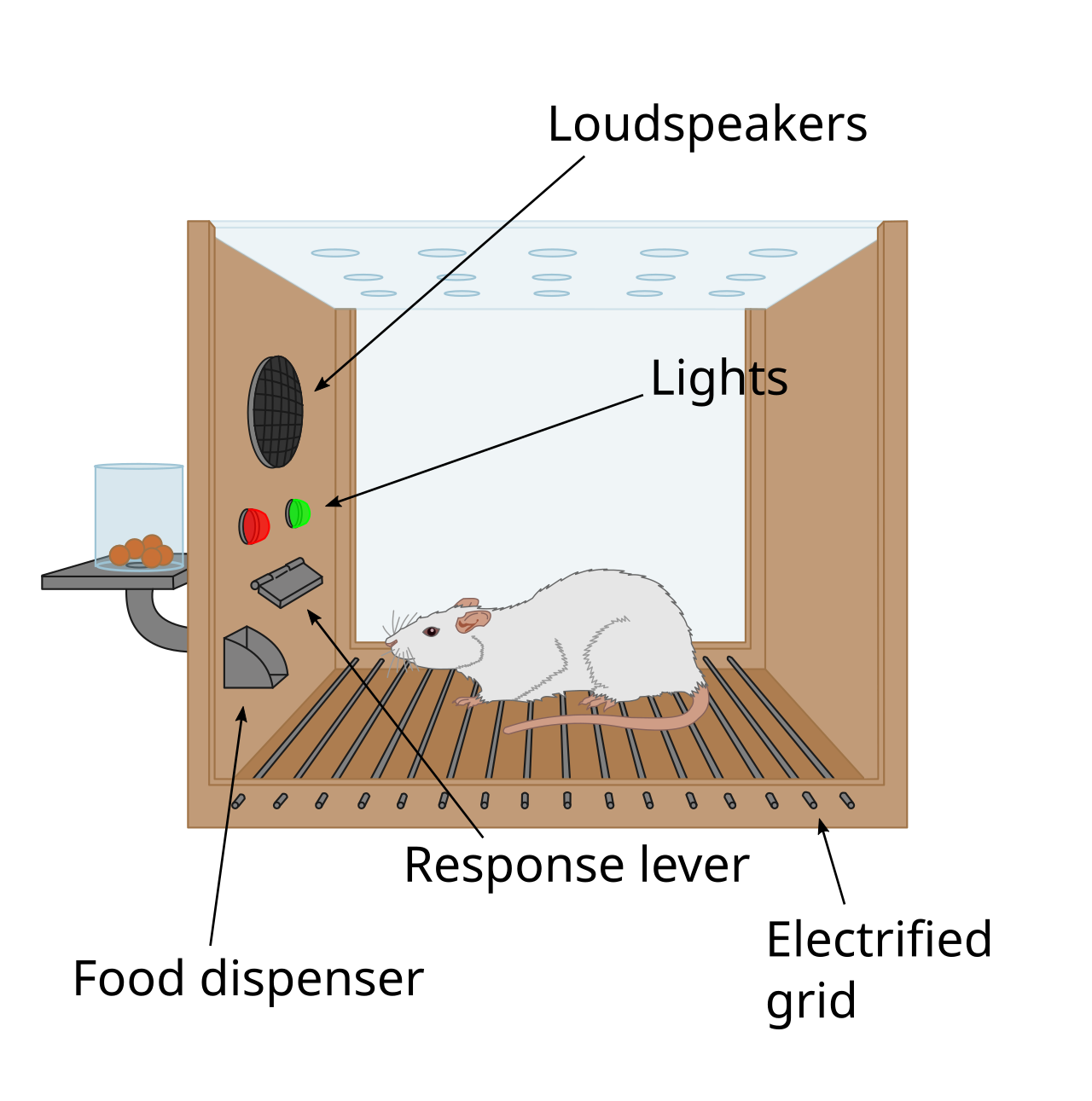 <p>What is a Skinner box?</p>