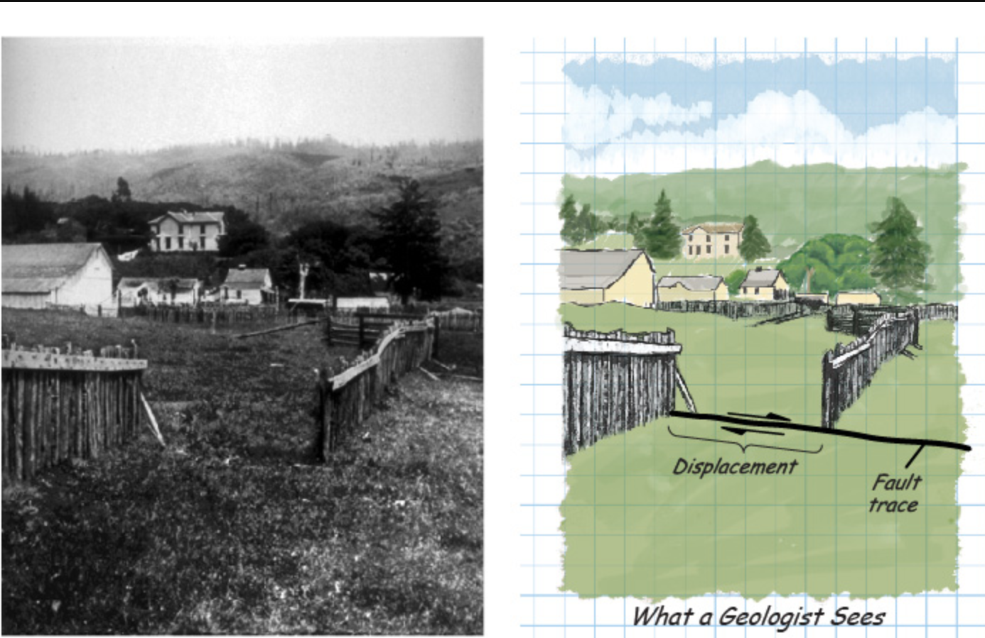 <p><span>The picture and sketch show a result of the 1906 San Francisco earthquake. What kind of fault accommodated the motion seen in these pictures?</span></p>