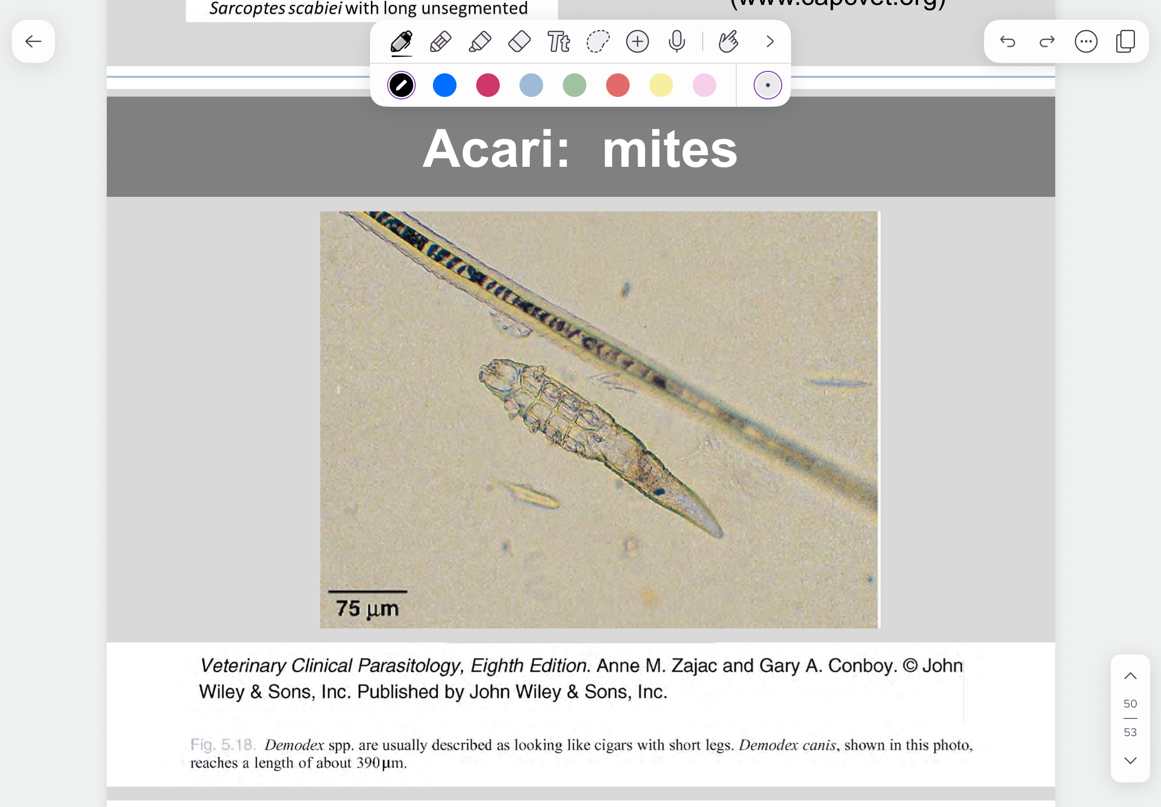 knowt flashcard image