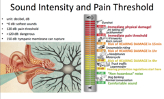 <p>The point at which someone perceives a stimulus as painful; consistent between individuals</p>