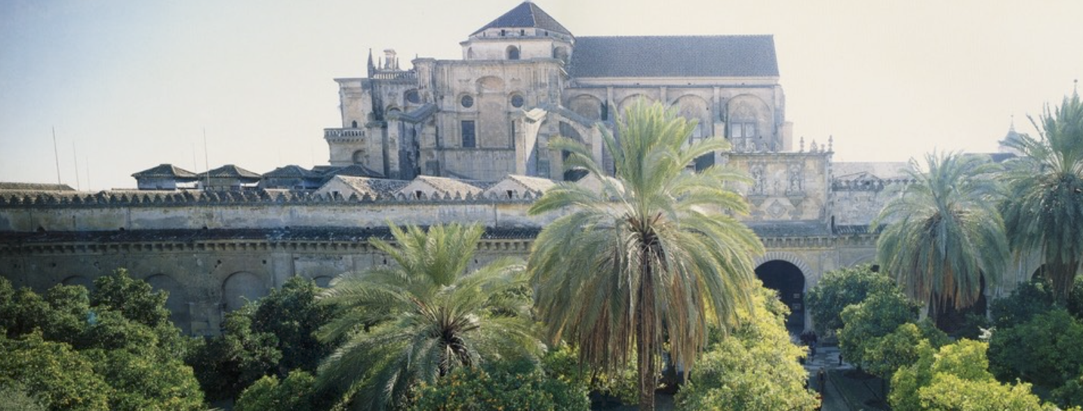 <img src="https://assets.knowt.com/user-attachments/8a9802e5-d920-4cc7-8b14-0326916f4d3d.png"><p></p>