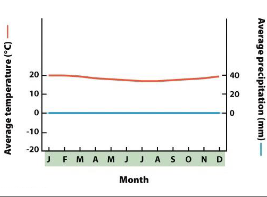 <p>very dry and consistent temperature, plants adapted to harsh environment</p>