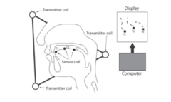 <p>Electromagnetic articulography</p>