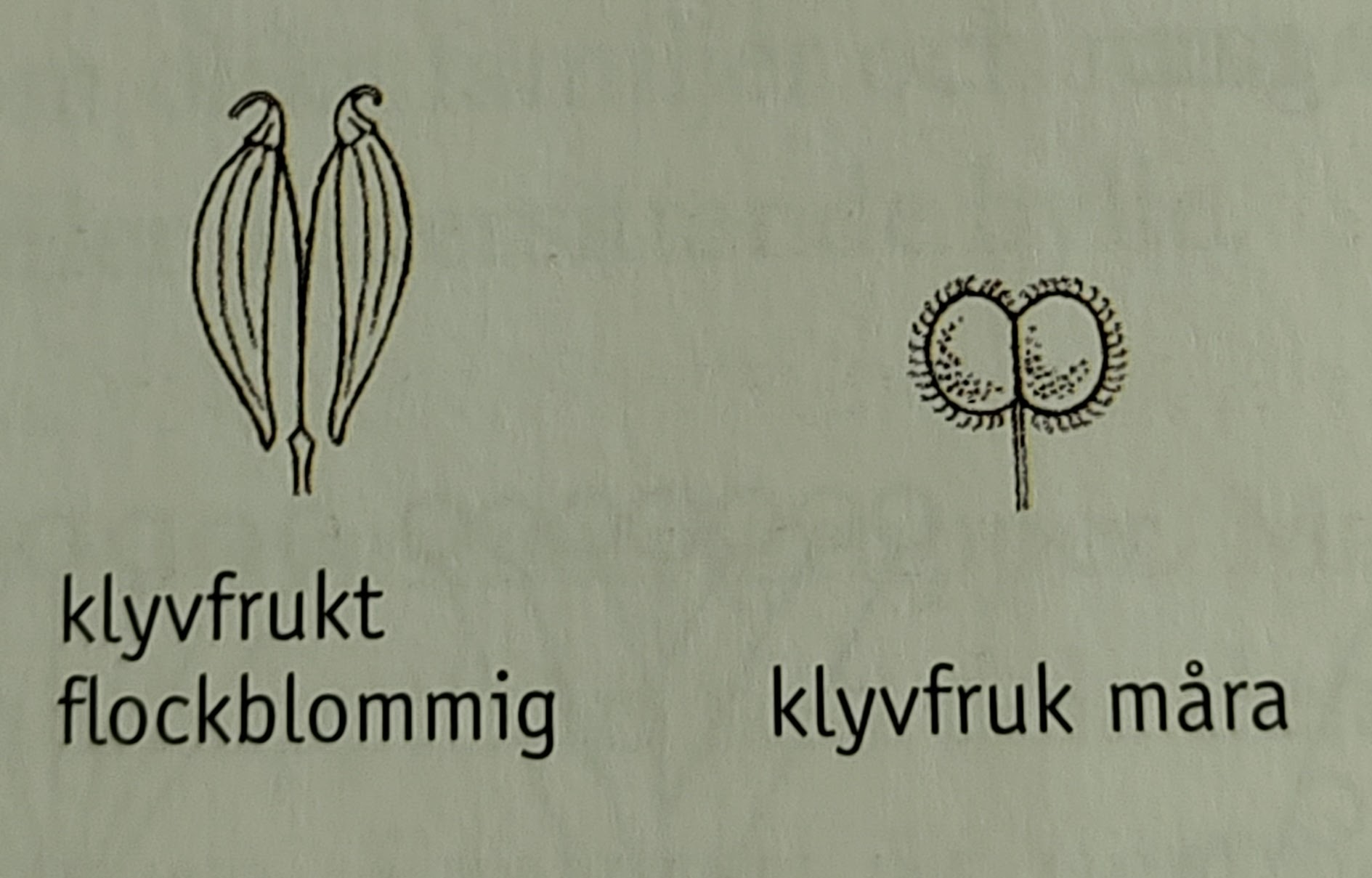 <p></p>