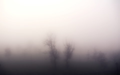 <p>full of, having, or covered by fog</p>