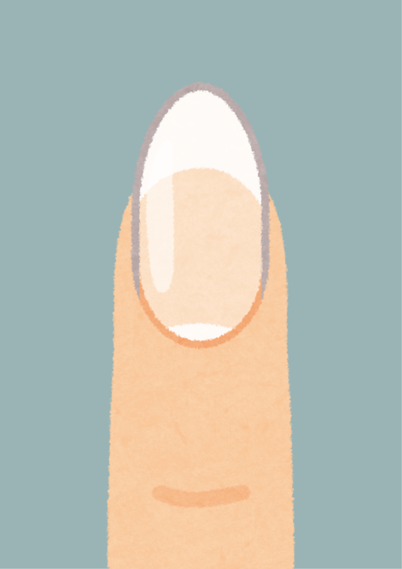 <p> </p>