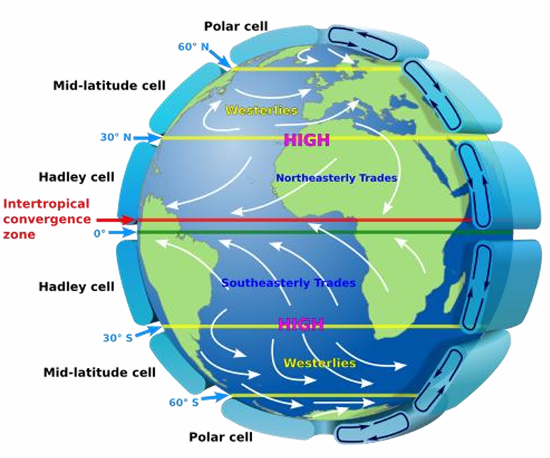 <ul><li><p>many “circulation cells” across globe </p><ul><li><p>caused by major air circulation patterns </p></li></ul></li><li><p>air currents come from planet rotation </p><ul><li><p>faster @ equator </p></li></ul></li></ul><p></p>
