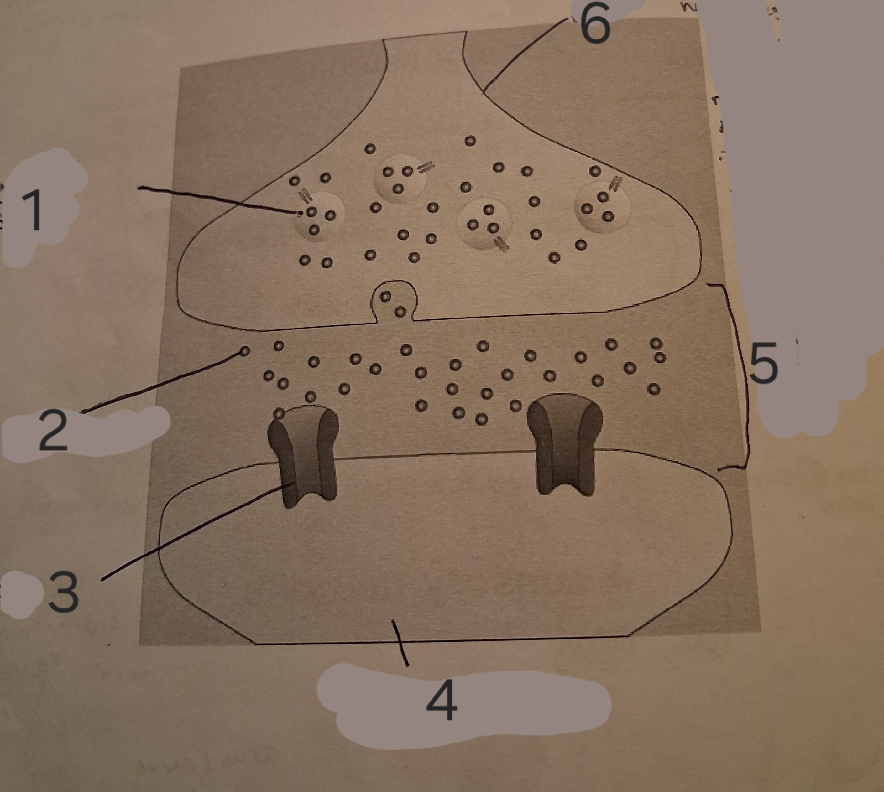 <p>Label the diagram</p>