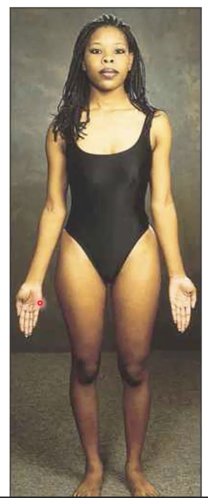 <ul><li><p>Erect posture</p></li><li><p>hands at side</p></li><li><p>palms and feet facing forward</p></li><li><p>gaze forward</p></li></ul><p></p>