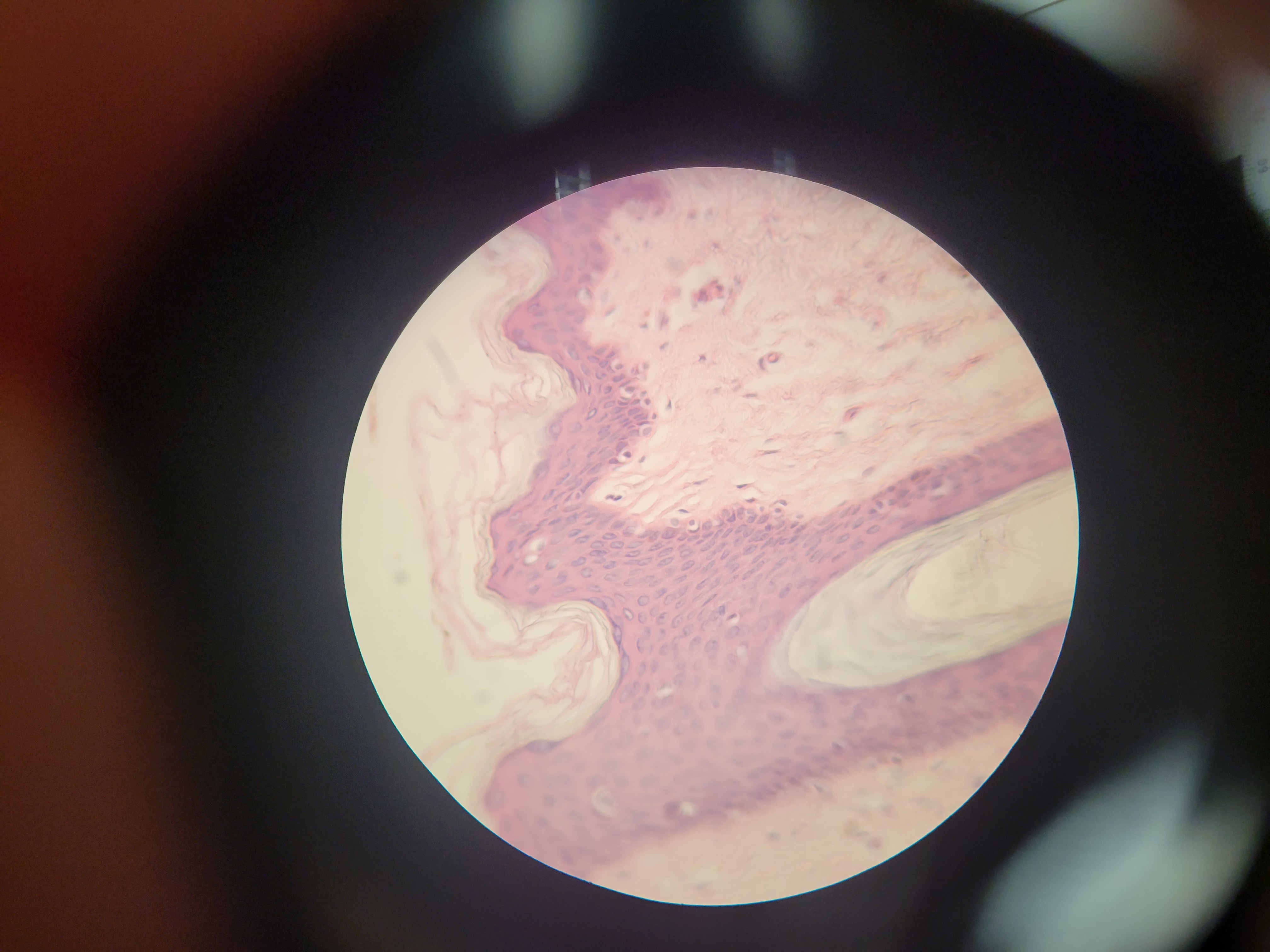 <p>What is shown?</p>