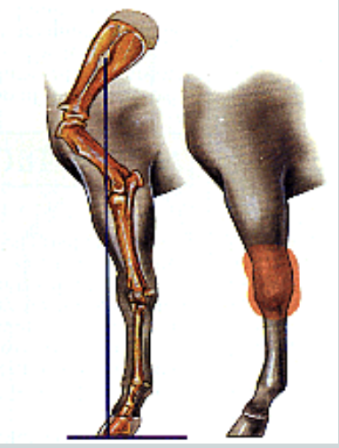 <p>what is this an image of</p>