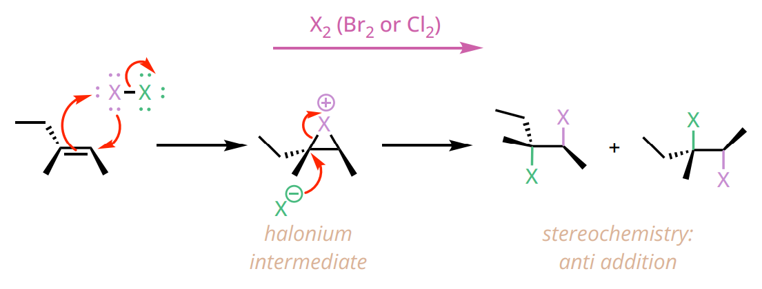 <ul><li><p>sterochemistry: Anti addition</p></li><li><p>reagents: Br<sub>2</sub> or Cl<sub>2</sub> in CCl<sub>4</sub></p></li></ul><p></p>