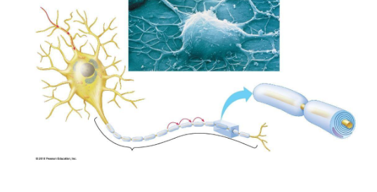 <p>what direction</p>