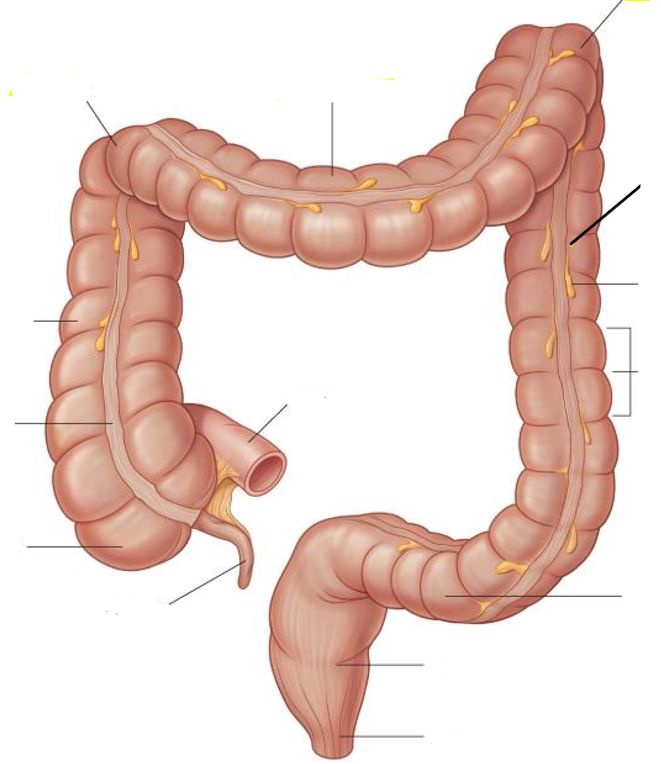 <p>Label the following diagram</p>