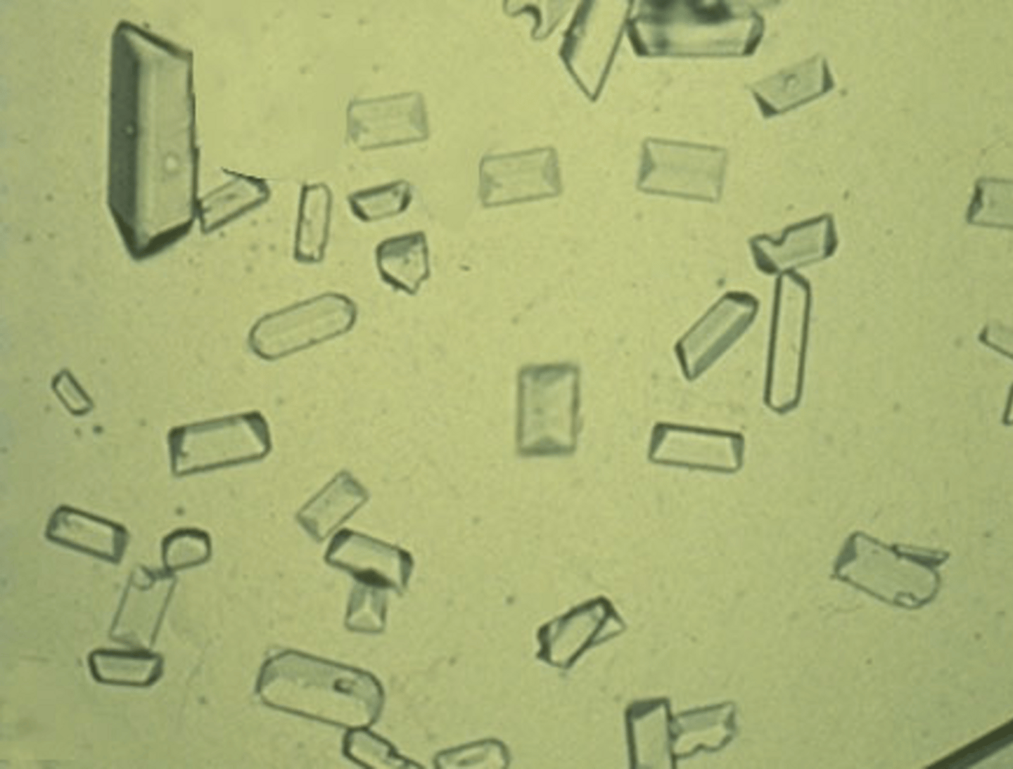 <p>pH >7.5</p>