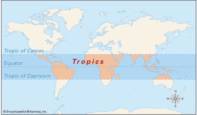 <p>The tropics are situated between the tropic of cancer (__) and tropic of capricorn (__)</p>