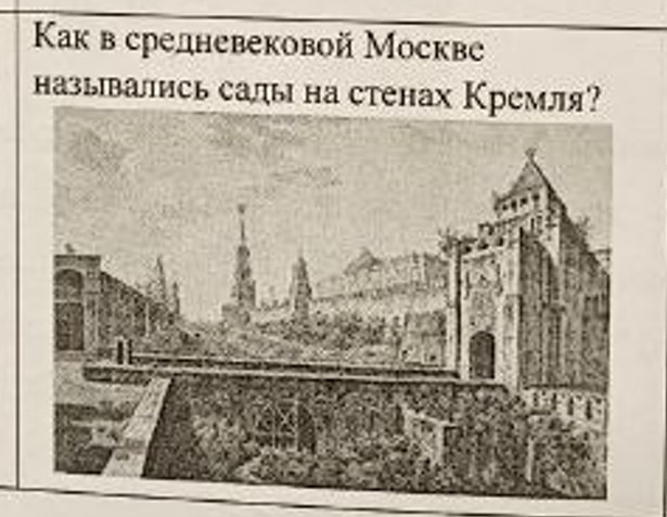 term image