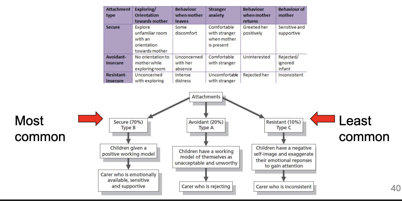 <ul><li><p>Secure attachment correlated with better outcomes</p></li><li><p>Style can vary (e.g. with parent job changes, culture)</p></li><li><p>Children can have different attachments w/parents (in 40% of heterosexual couples, father-child + mother-child are different)</p></li><li><p>Association with outcomes in adulthood (e.g. relationships)</p><ul><li><p>Happy when they come back</p></li><li><p>Doesn’t care</p></li><li><p>reject thems</p></li></ul></li></ul><p></p>