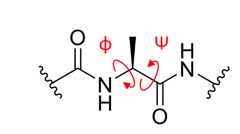 <p>what does plotting these angles give</p>