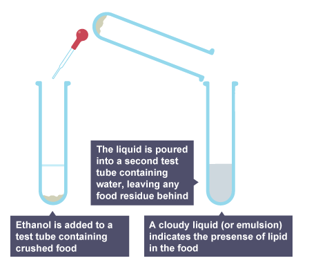 <ul><li><p>Put food sample in test tube</p></li><li><p>Add a few drops of distilled water</p></li><li><p>Add a few drops of ethanol</p></li><li><p>Shake solution gently</p></li><li><p>Results: goes cloudy if lipid is present</p></li></ul><p></p>