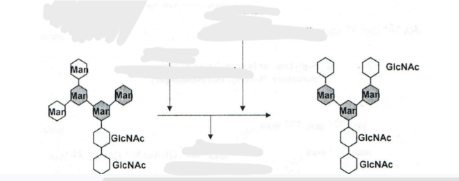 <p>ou</p>