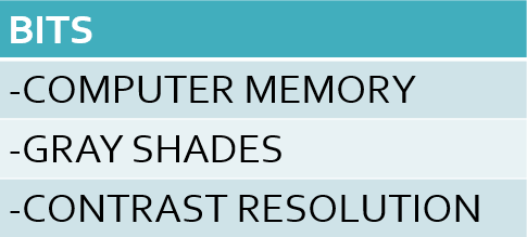 <p>shades of gray</p><p>contrast resolution</p>