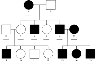 <p>more males are effected than females, males cannot inherit the trait from their fathers </p>
