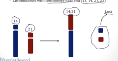 <p>- Only a small amount of DNA is typically lost → so no</p>