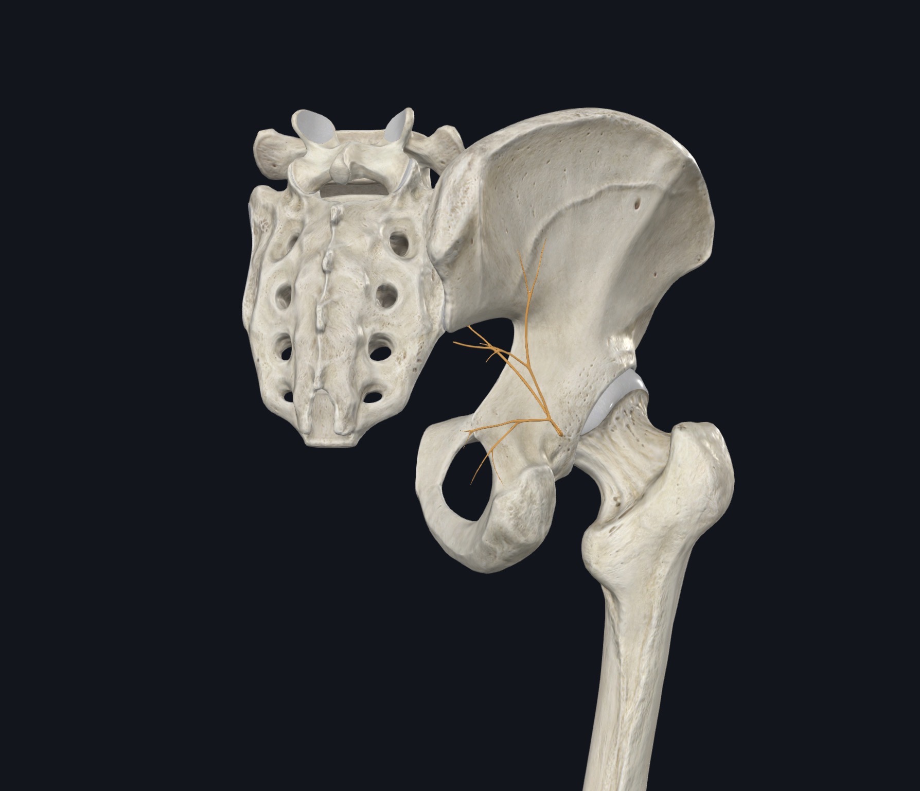 <p>¿Qué es esto?</p>