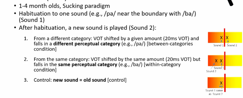 <p>High amplitude sucking - 1 and 4 mth old infants control the presentation of a synthetic speech syllable by sucking on a pacifier. These finding favour the notion that infants are born with the ability to discriminate sound contrasts, even those they are not exposed to.
So yes to question 1! This mode of treatment is present at birth</p>