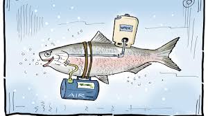 <p><strong>packed to the gills with</strong></p>