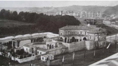 term image