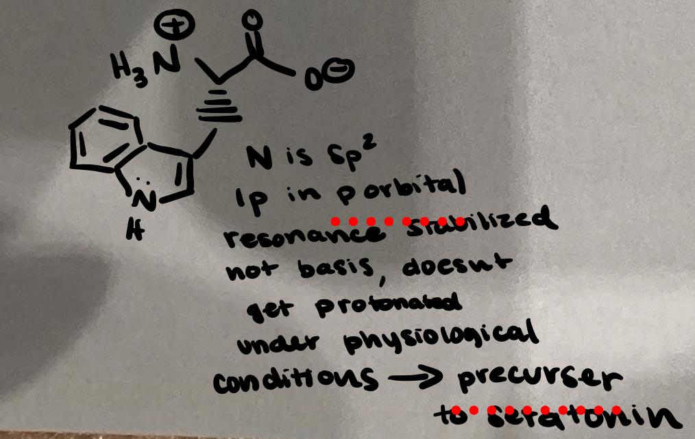 <p><span><span>Aromatic amino acids - conjugated, unsaturated benzene rings</span></span></p>