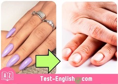<p>These nails are _____.</p>