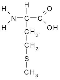 <ul><li><p>Nonpolar side chain hydrophobic</p></li></ul><p></p>
