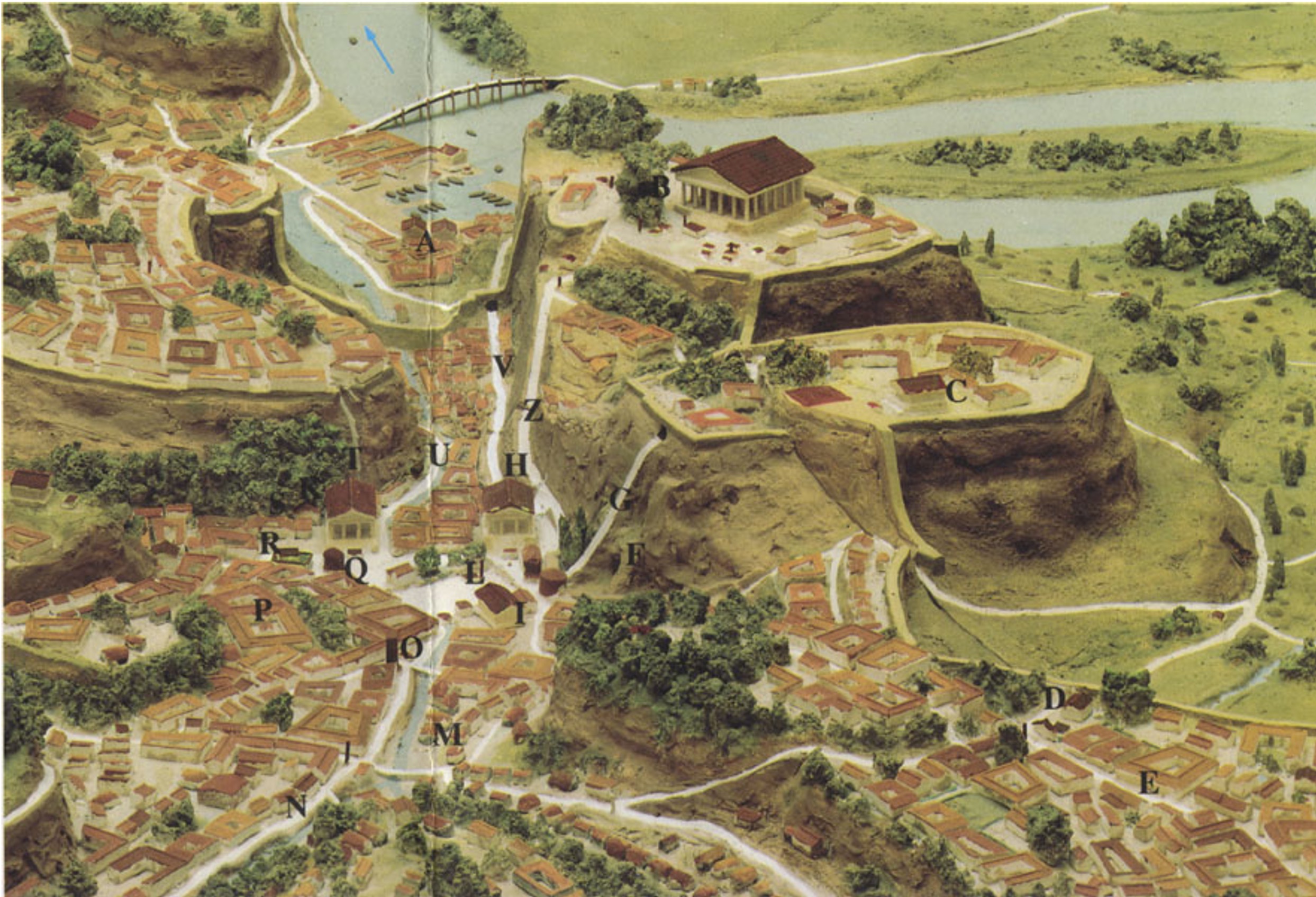 term image