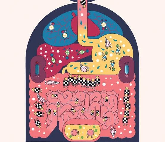<p>IF. Understand concepts of normal microbial / resistance, and biofilms</p>