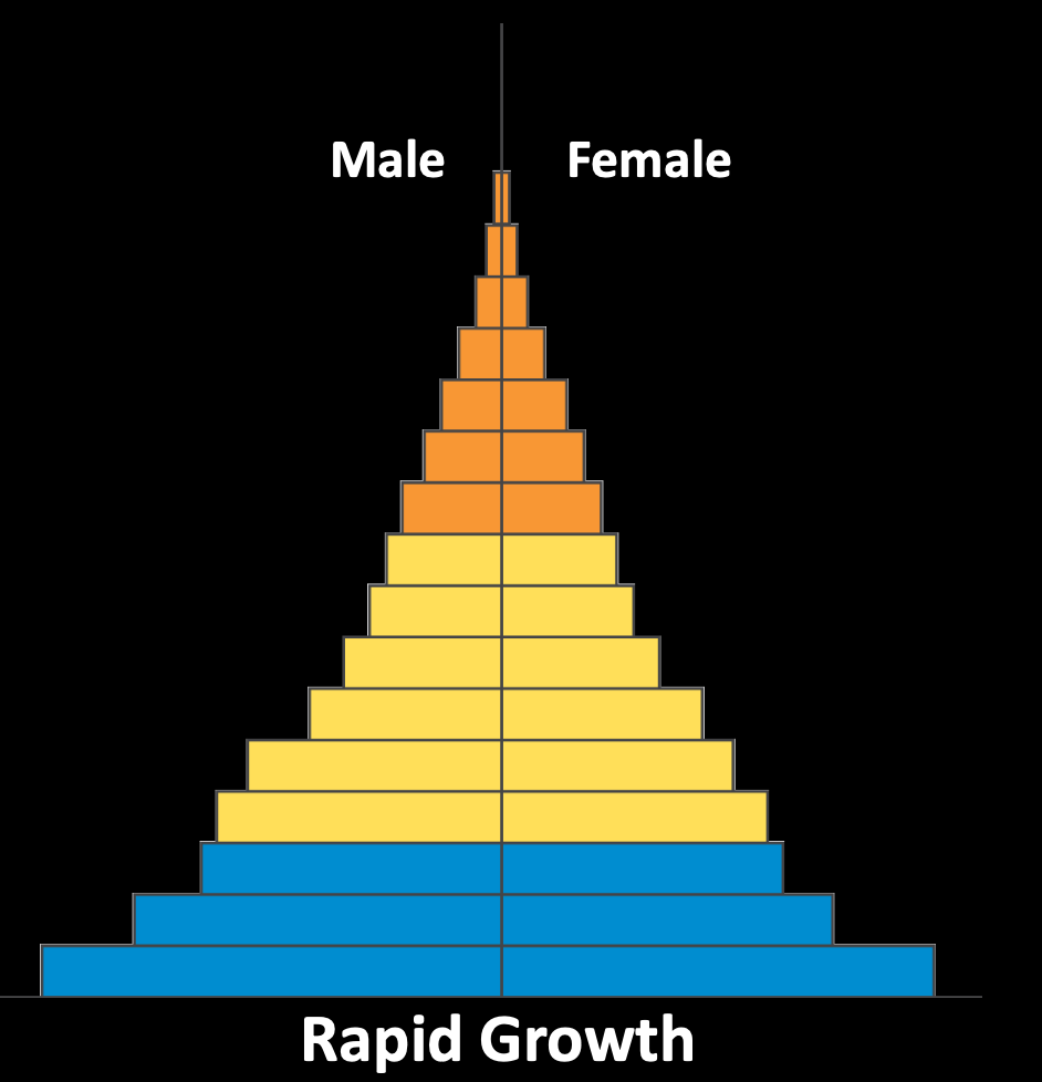 <p>-wide based pyramid (bc more offspring) </p><p>-LOT of offspring</p>