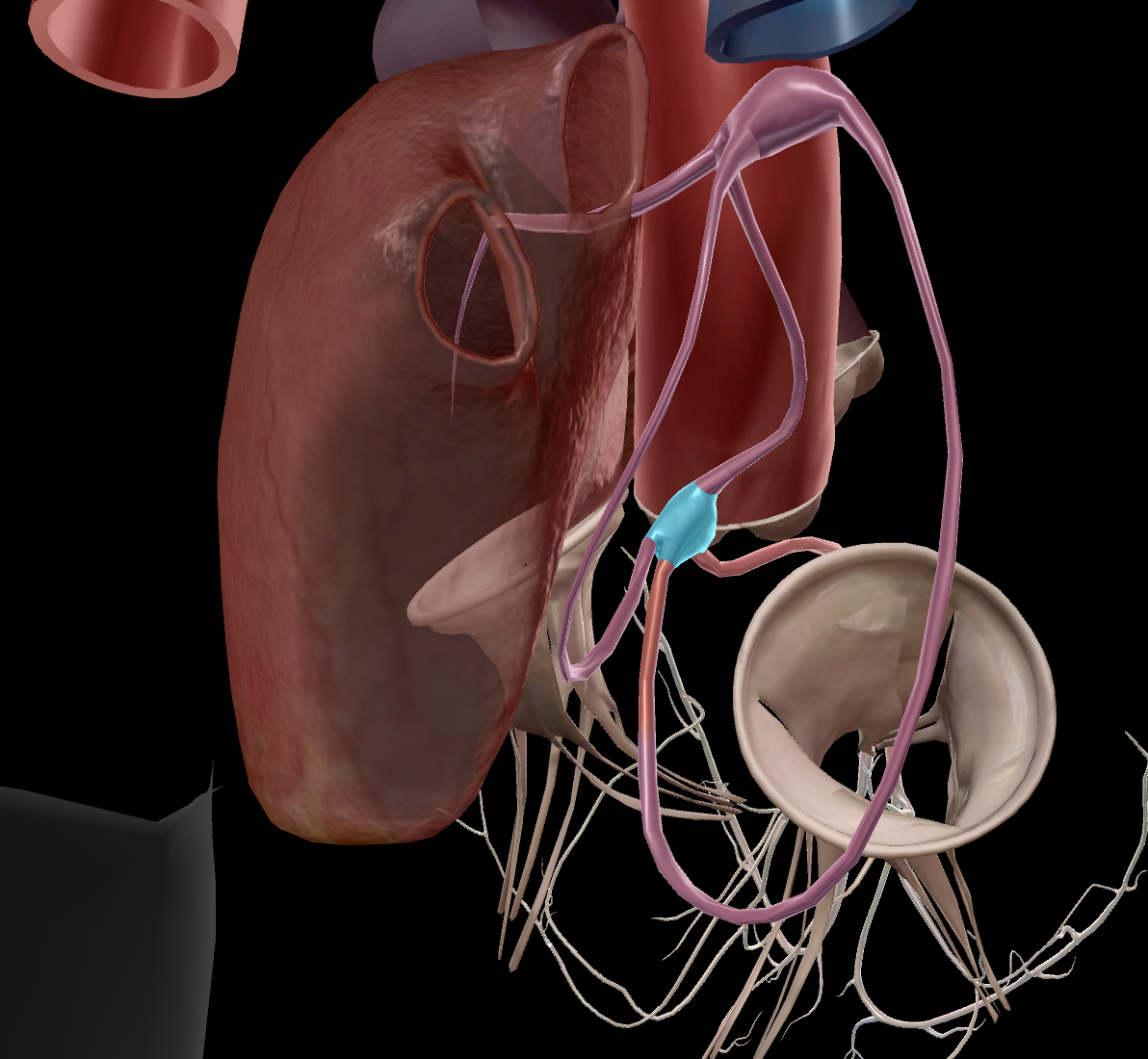 knowt flashcard image