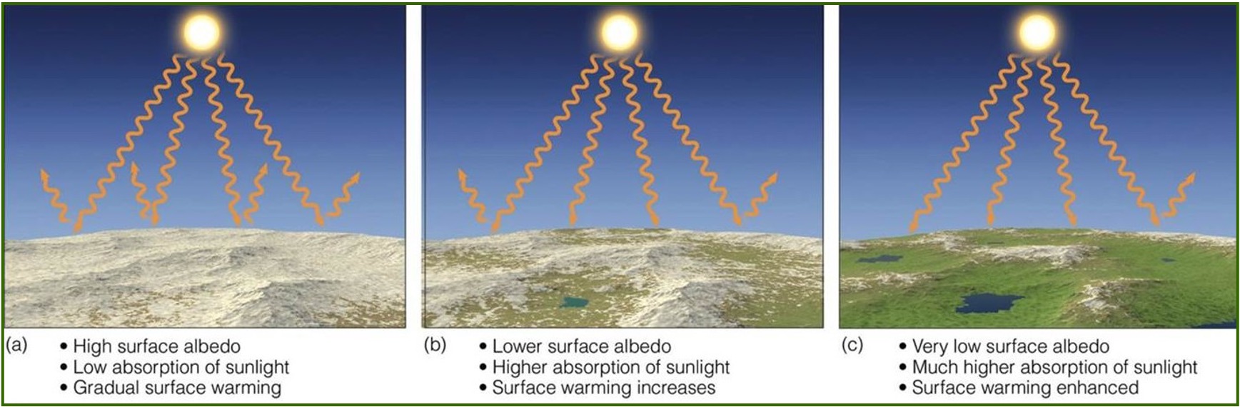<p>It is the reason as to why polar regions are warming the fastest. </p><p>In the coming decades, the polar areas are expected to warm faster than any other areas on Earth. </p><p>By 2050, the only remaining Arctic sea ice in summer is expected to be around Ellesmere Island and Northern Greenland. </p>