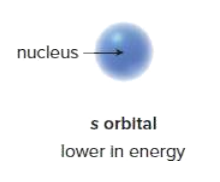 <p>An s orbital has a sphere of electron density. It is ________ in energy than other orbitals of the same shell, because electrons are kept closer to the positively charged nucleus.</p>